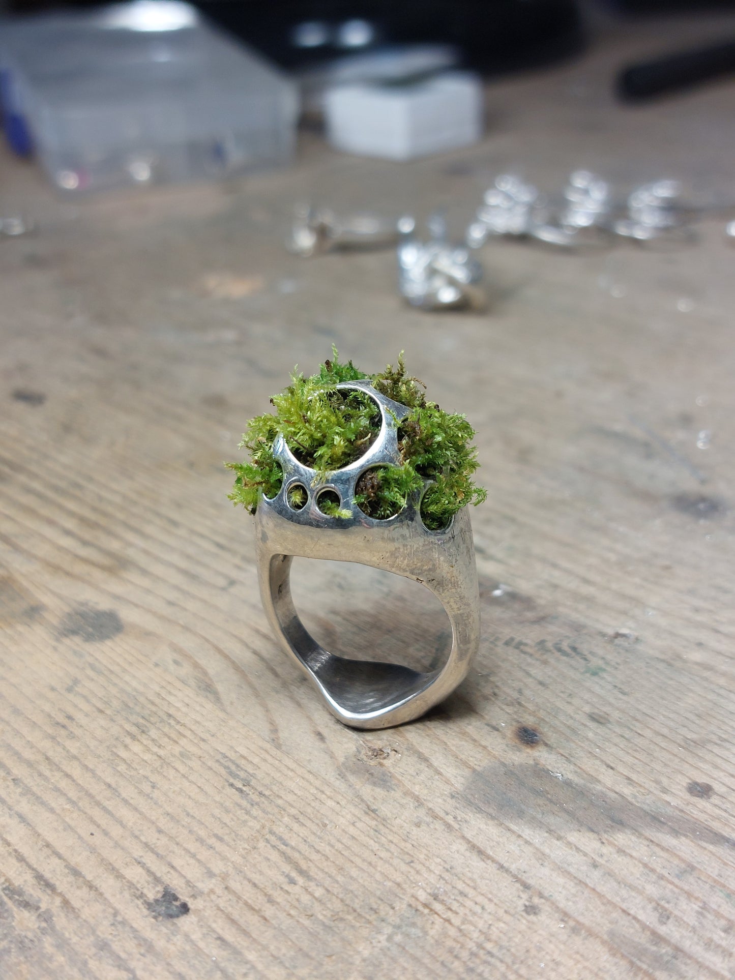 Anello "Vivido" - Giardino portatile