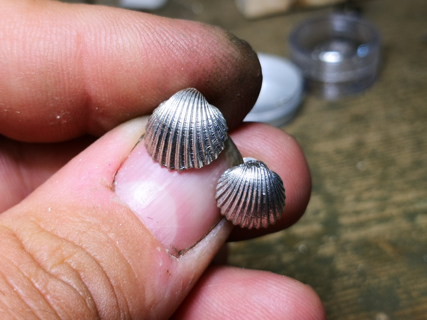 Orecchini Conchigliette "Acanthocardia " in argento