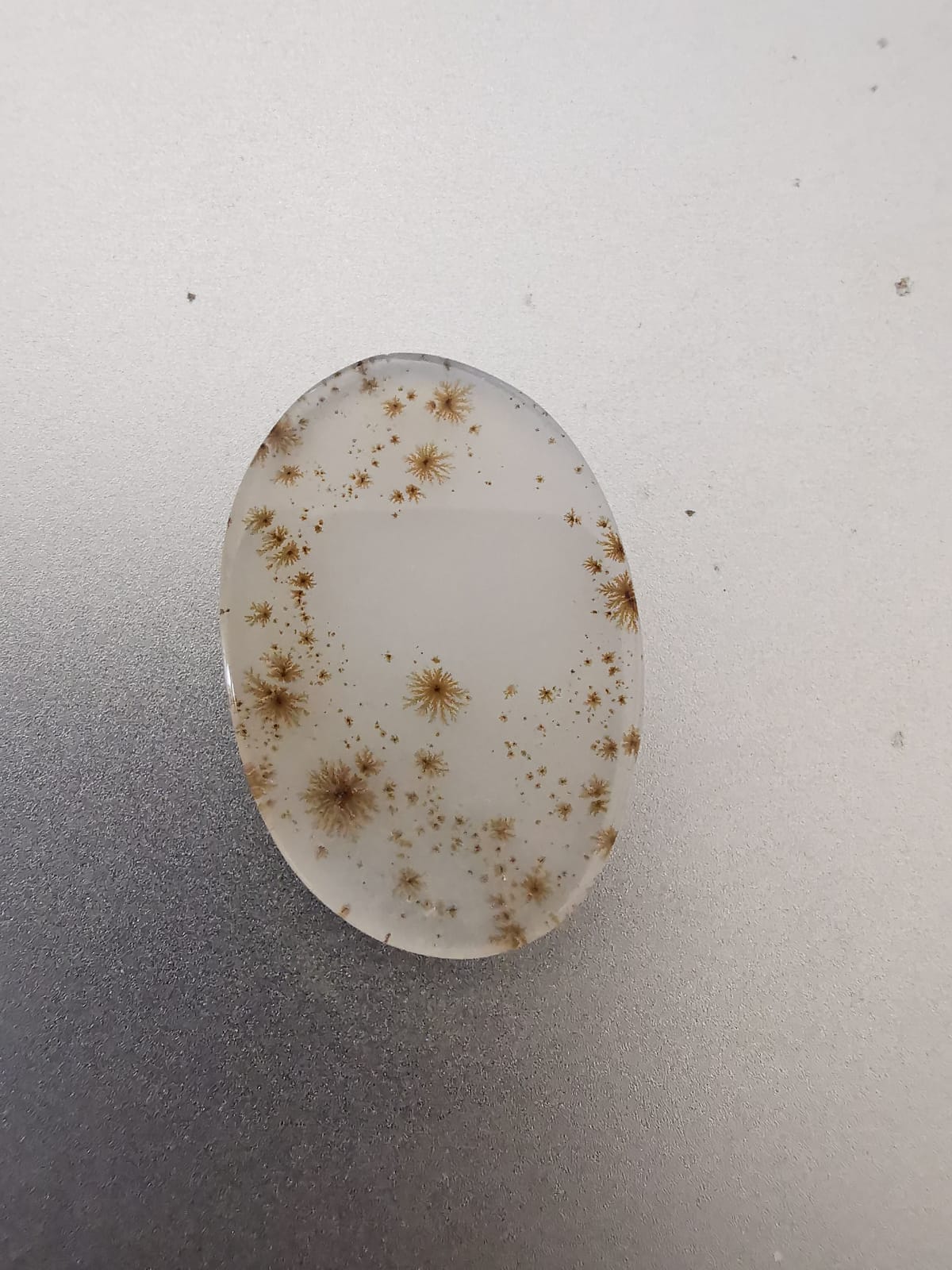 Agata Dendritica taglio ovale cabochon 13,34 ct