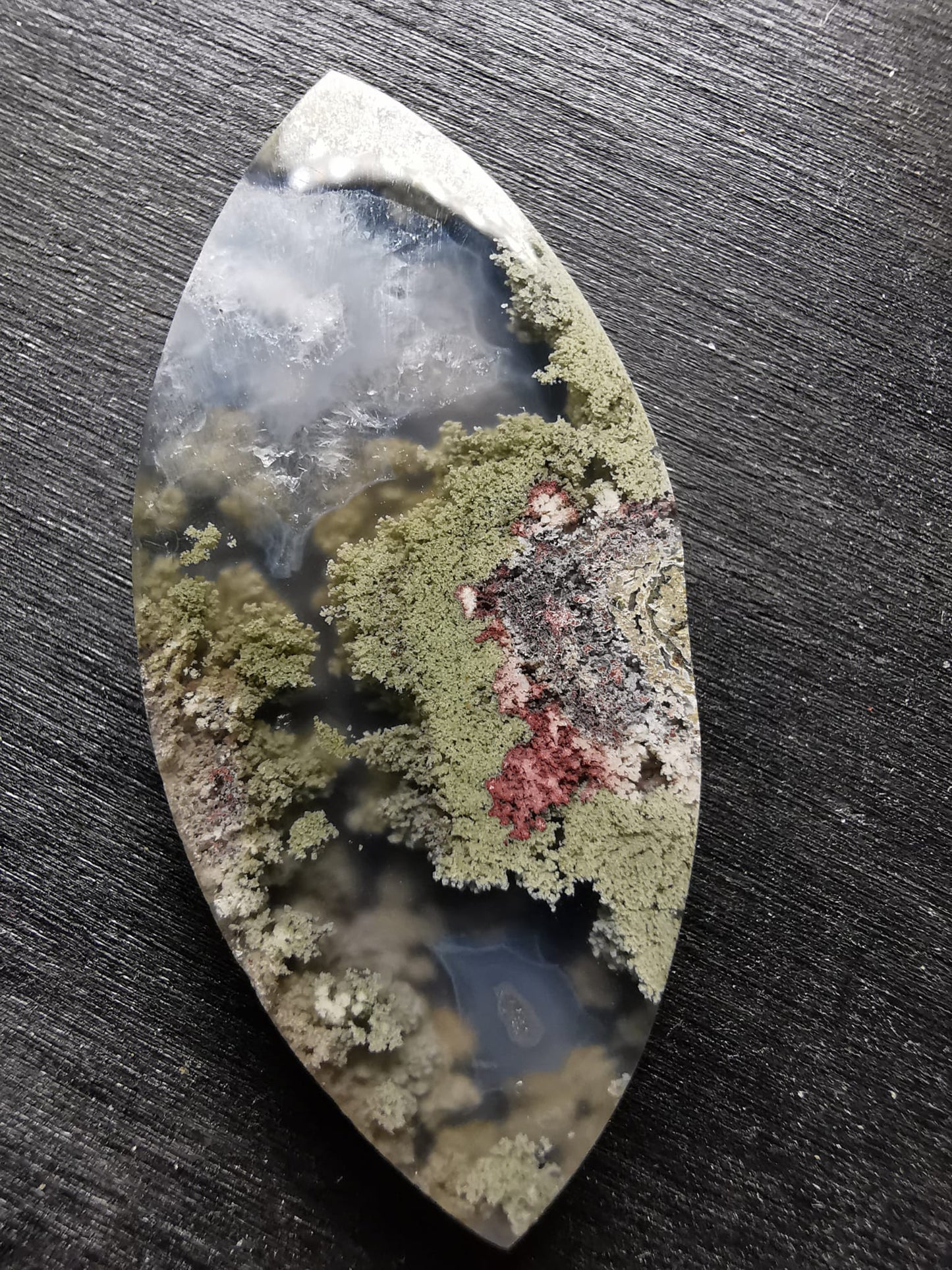 Agata Muschiata taglio cabochon marquise 29,75 ct