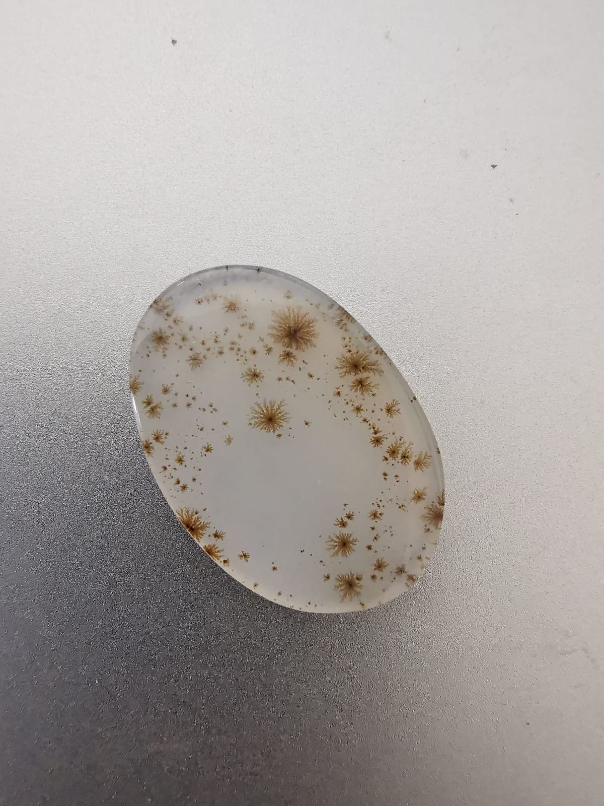 Agata Dendritica taglio ovale cabochon 13,34 ct