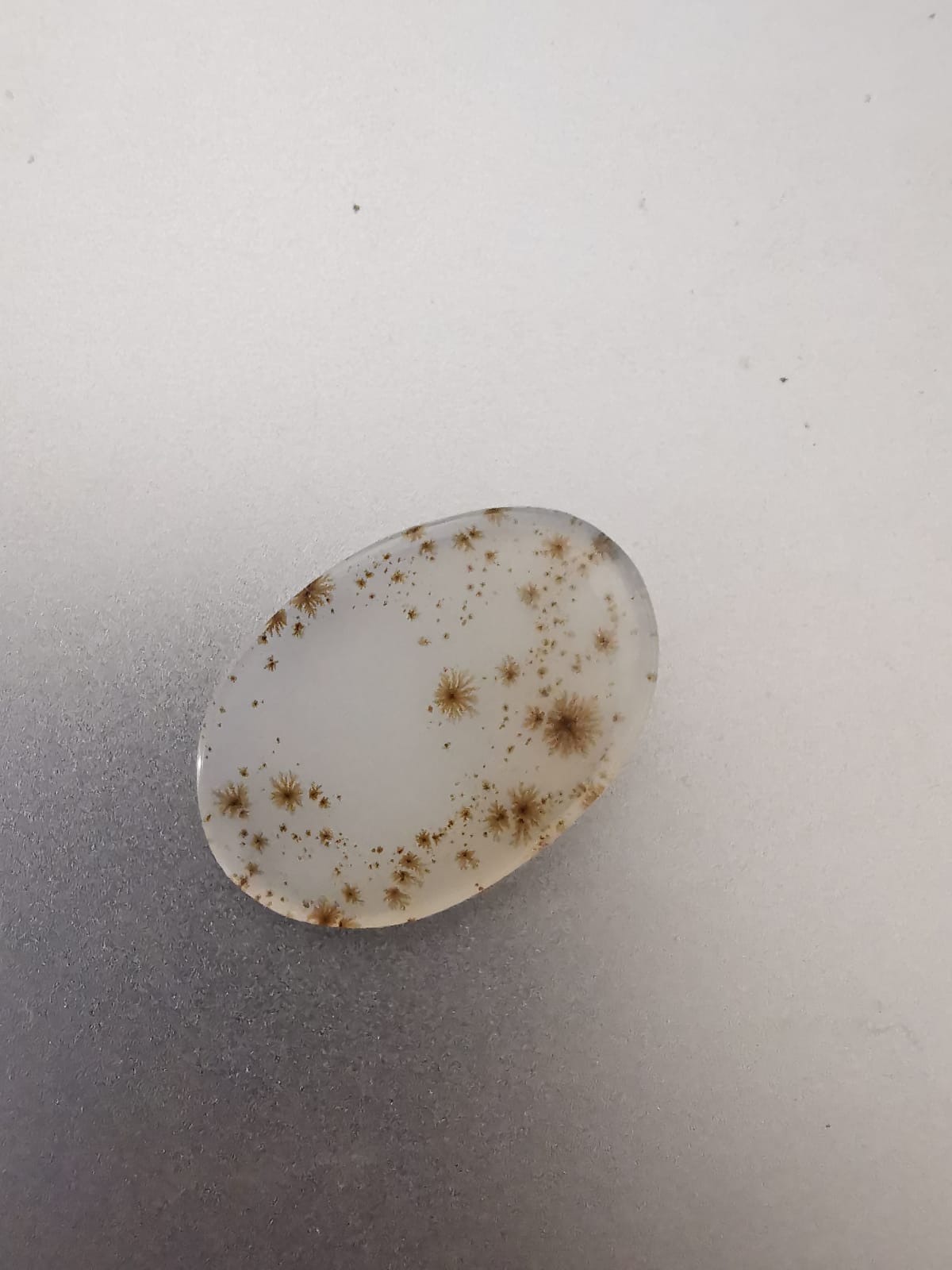 Agata Dendritica taglio ovale cabochon 13,34 ct