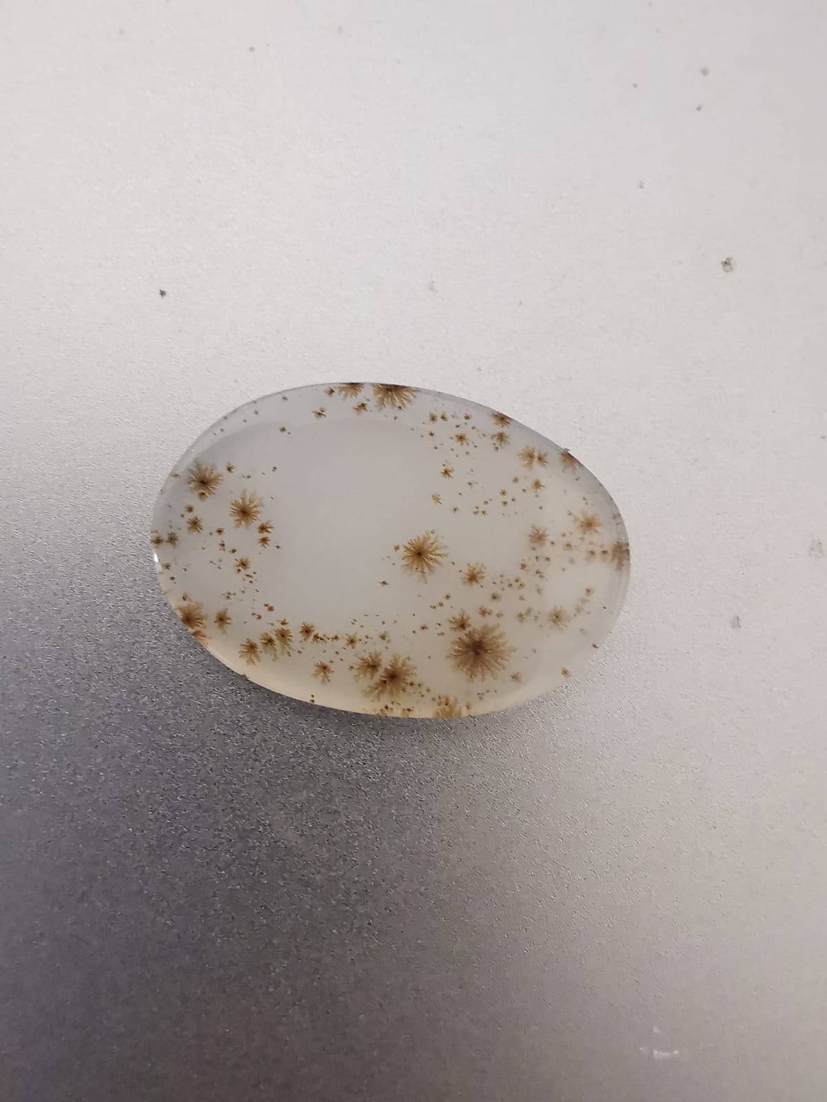 Agata Dendritica taglio ovale cabochon 13,34 ct