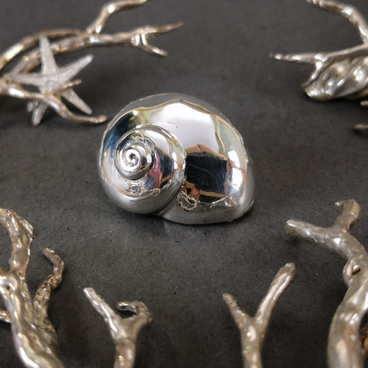 Ciondolo "Conchiglia" in argento "Turbo Burges"
