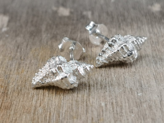 Orecchini Conchigliette "Ocenebra Erinacea" in argento