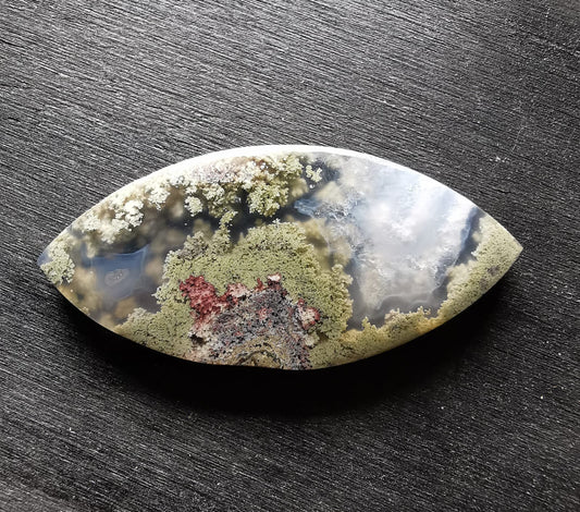 Agata Muschiata taglio cabochon marquise 29,75 ct