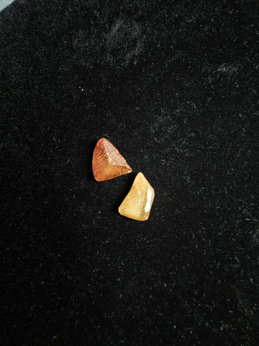 Baltic Amber Triangular Cut Fancy 1.11 ct