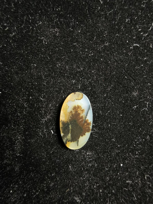 Agate Dendritic Drop Cut Flat 0.73 ct