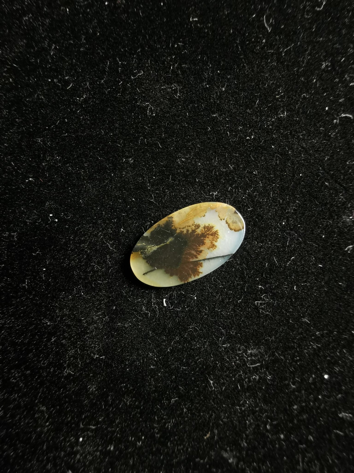 Agate Dendritic Drop Cut Flat 0.73 ct