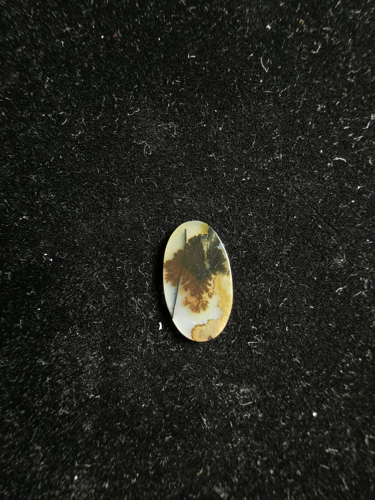 Agate Dendritic Drop Cut Flat 0.73 ct