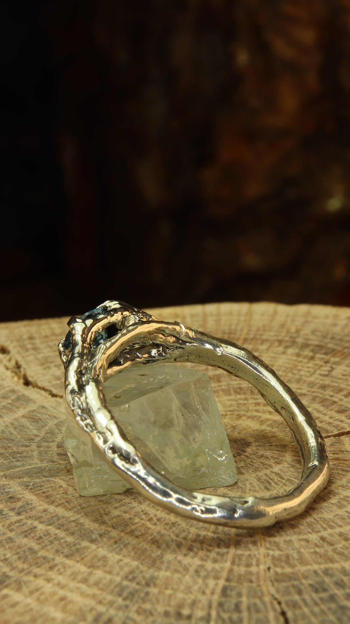 Anello Ancient Roots, fascia in argento vista da dietro