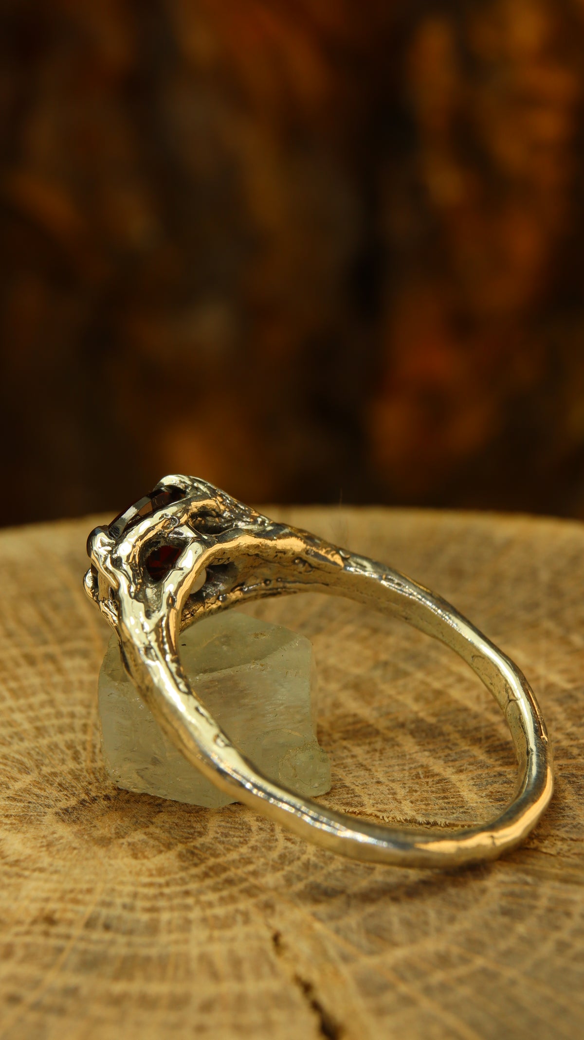 Anello Ancient Roots, fascia in argento vista da dietro