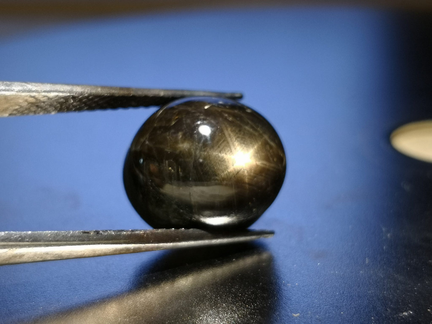 Zaffiro nero stellato taglio ovale cabochon 18,63 ct