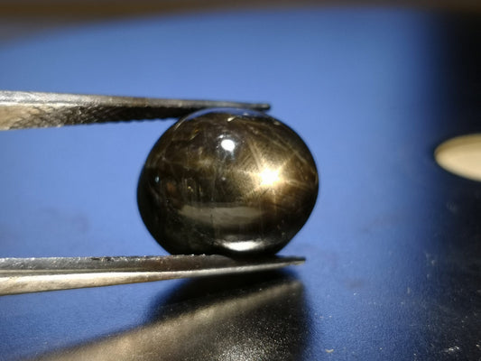 Zaffiro nero stellato taglio ovale cabochon 18,63 ct