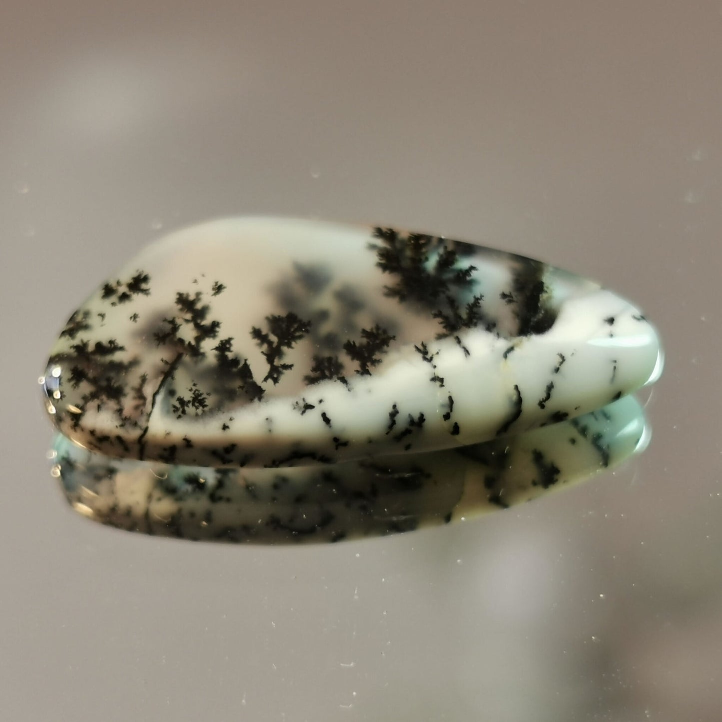 Agata Dendritica taglio fancy cabochon 9,81 ct