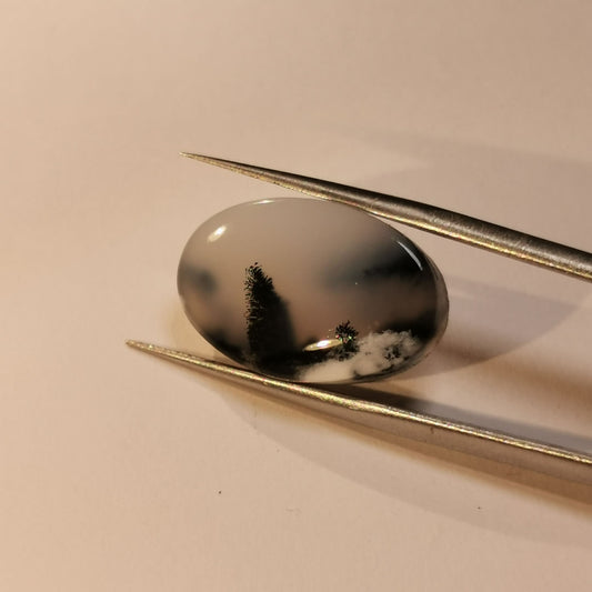 Agata Dendritica taglio ovale cabochon 9,96 ct